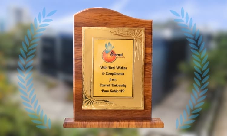 Google Partner Award