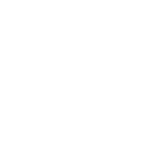 SED Toll Free Number