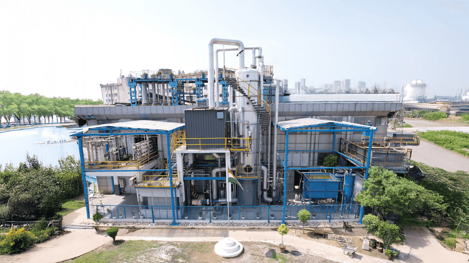Sugar Mill Modern
