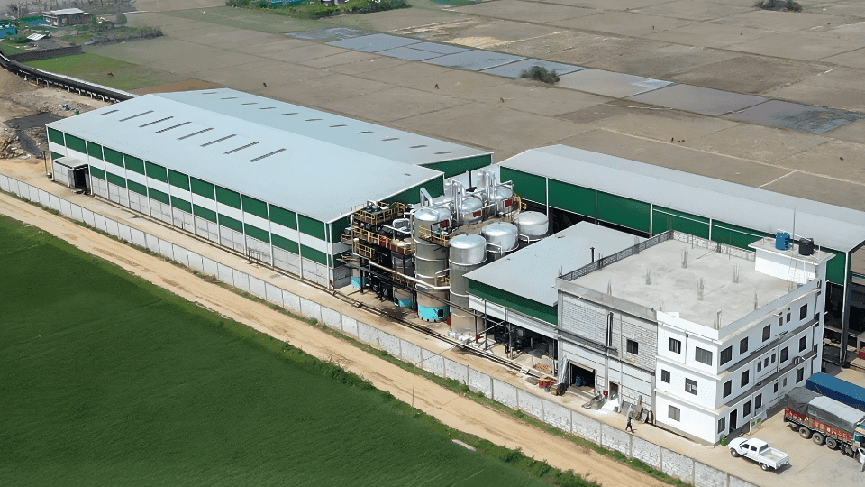 Sugar Mill Modern