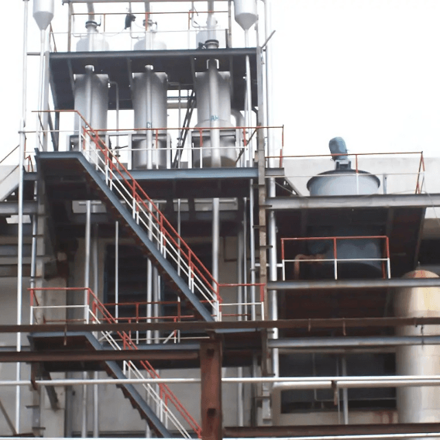 Molasses Conditioner