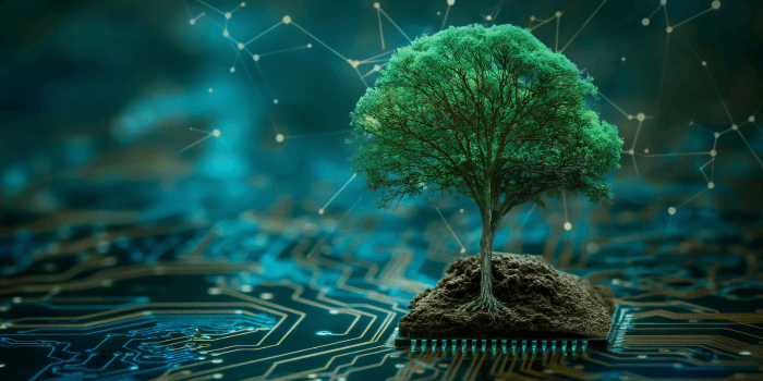 SED’s Sustainability Framework