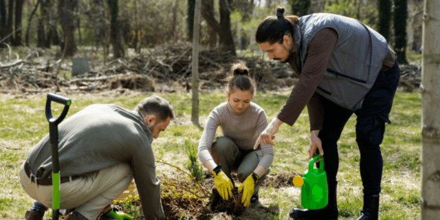 Goal 13: Biodiversity & Land Care